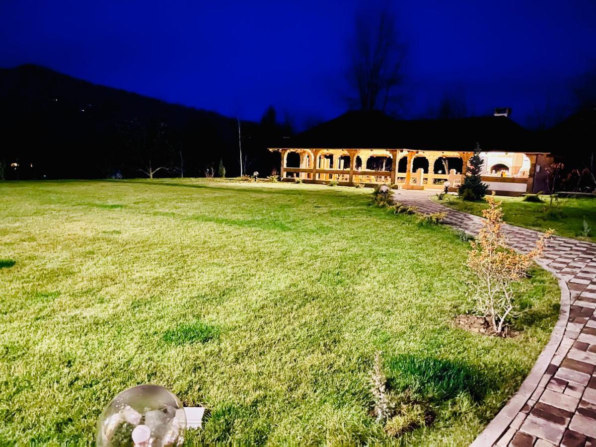 Pensiunea Coronita Vişeu de Sus Exterior foto