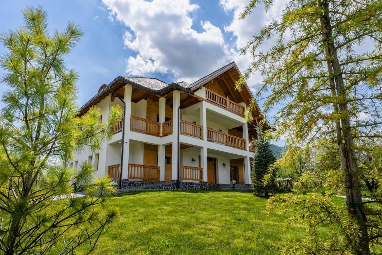 Pensiunea Coronita Vişeu de Sus Exterior foto