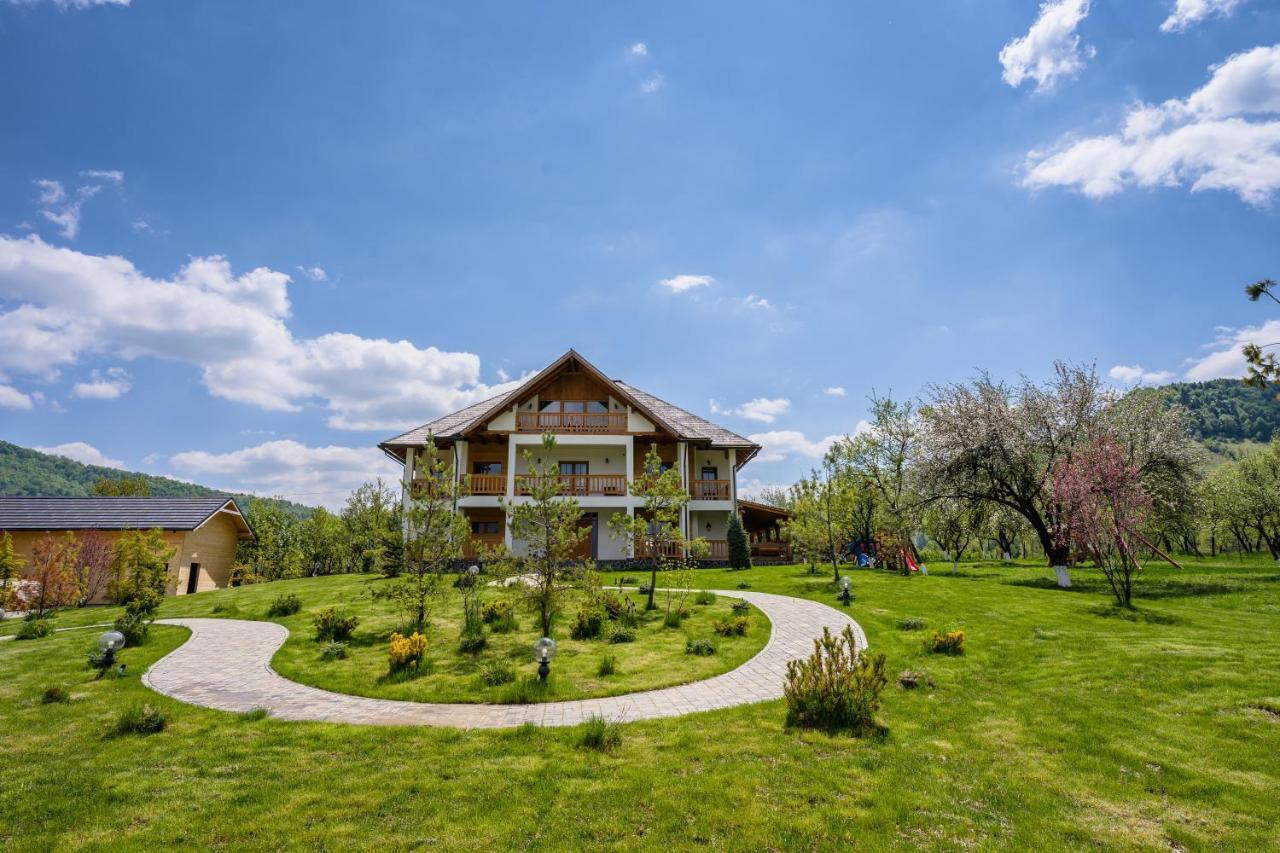 Pensiunea Coronita Vişeu de Sus Exterior foto