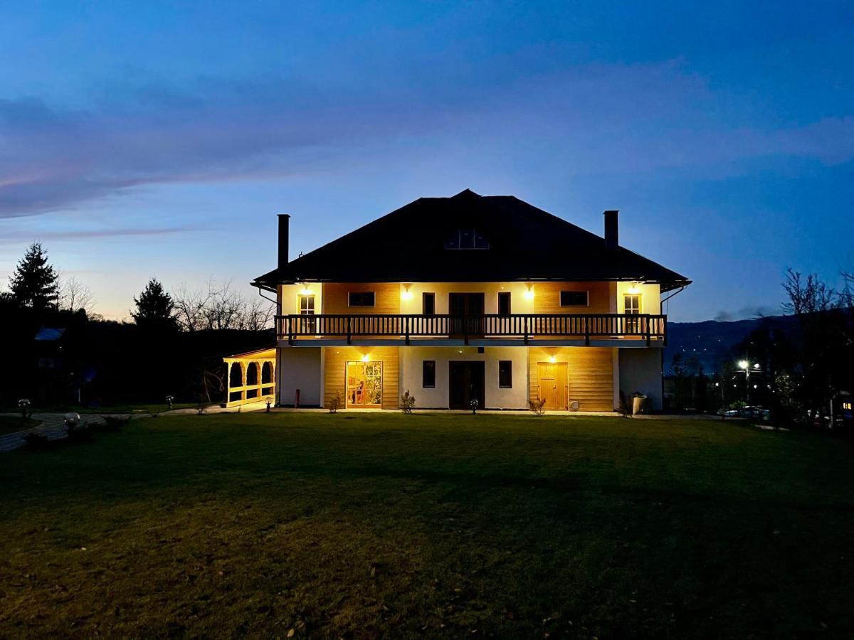 Pensiunea Coronita Vişeu de Sus Exterior foto